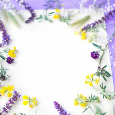 Select the Purple and Yellow Flower Frame
