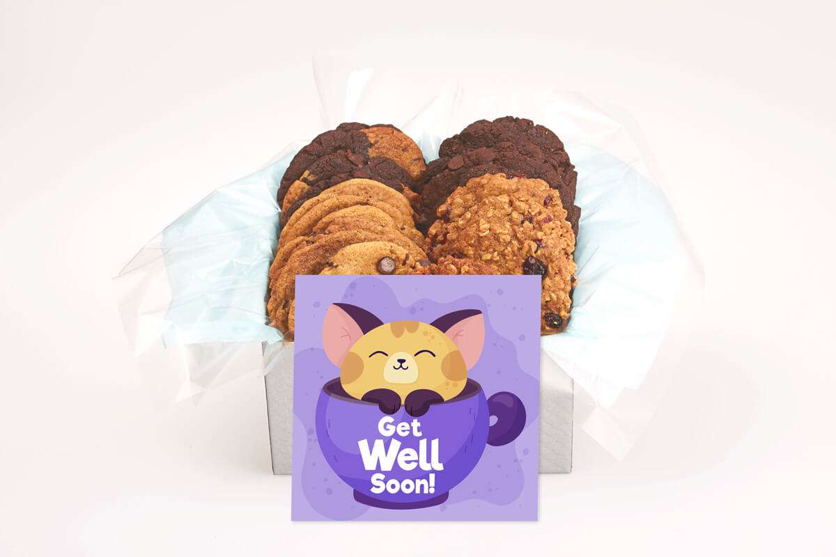 Adorable Cat Purple Get Well Gift Box