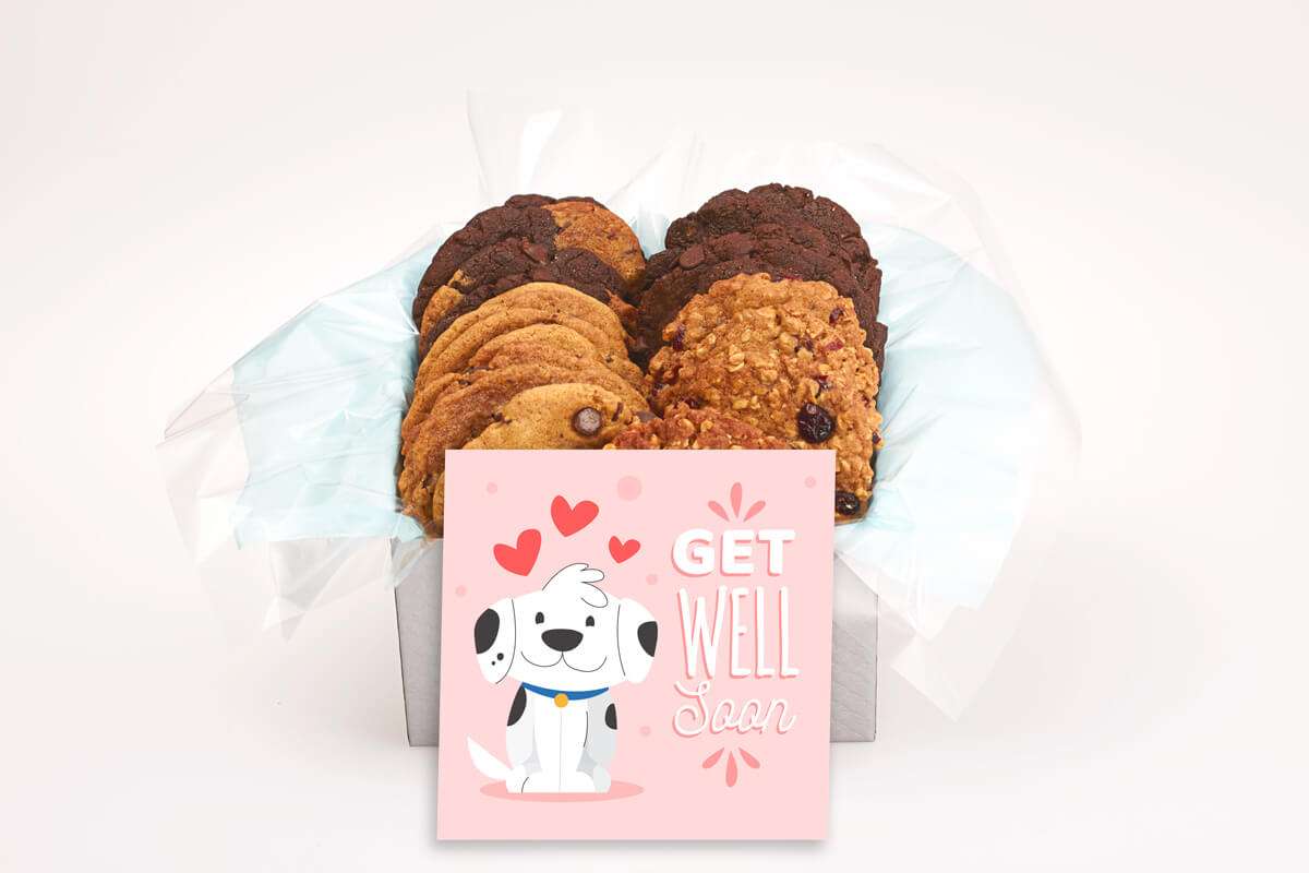 Cute Smiling Dog Get Well Gift Box