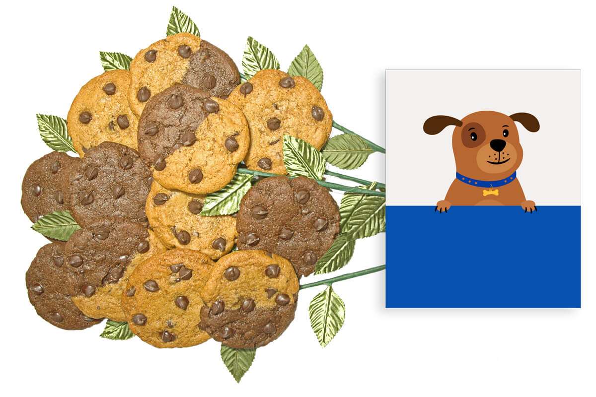 Dog with Blue Frame Cookie Gift Bouquet