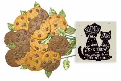 Friends are STARS cookie gift bouquet