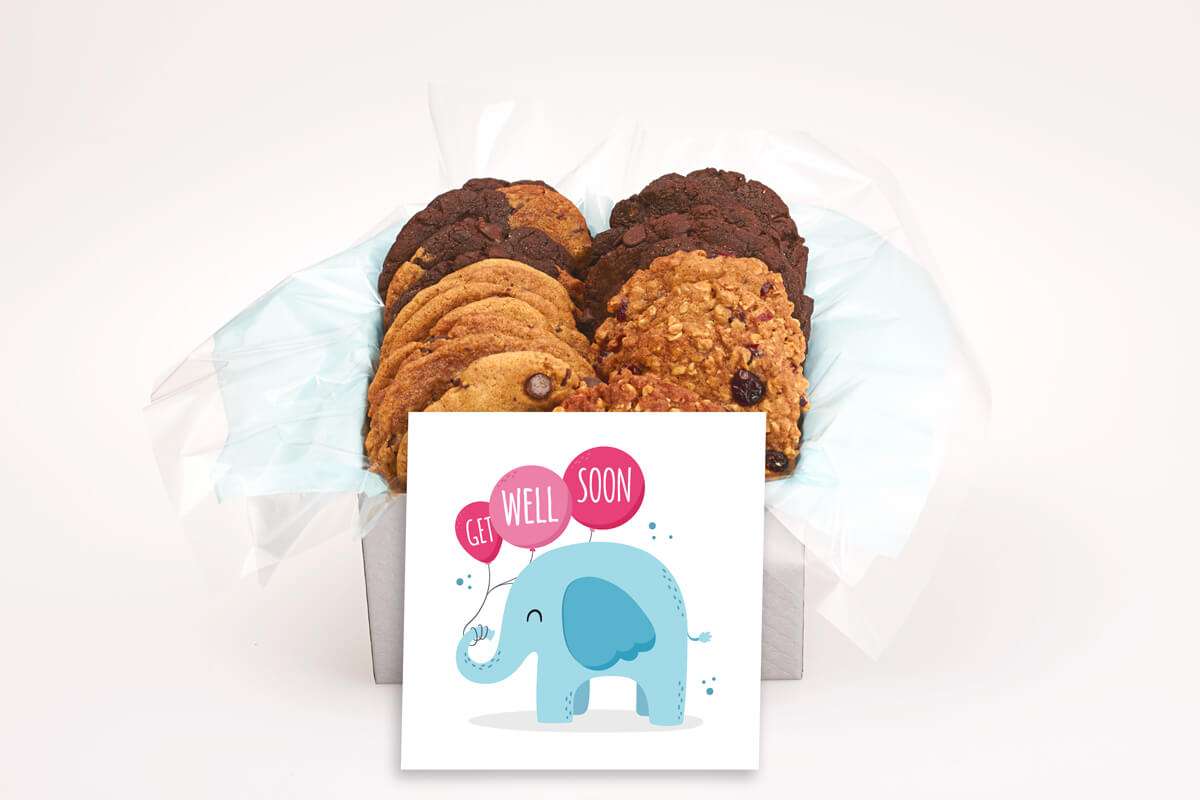 Get Well Elephant with Balloons Gift Box