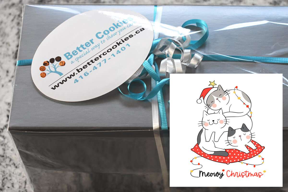 Small Meowy Christmas Cookie Gift Box